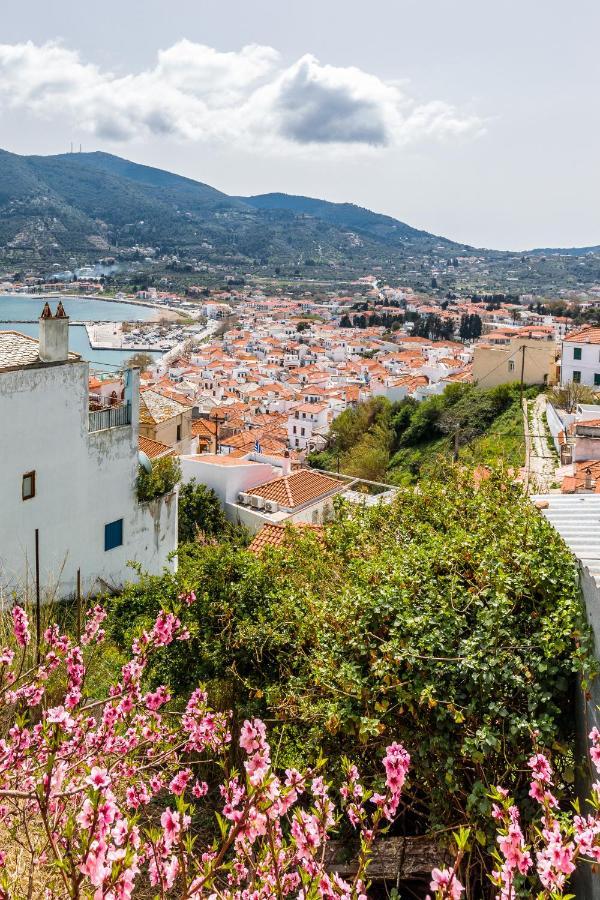 Vasia House Skopelos Eksteriør billede